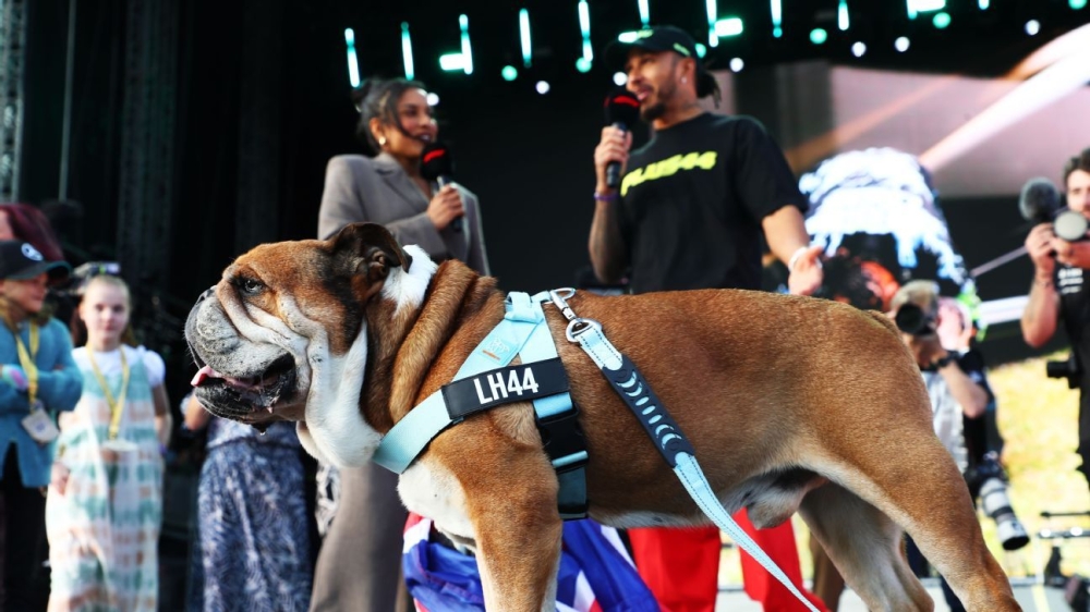 Lewis Hamilton concerned for health of bulldog Roscoe 1 | ASL
