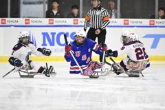 U.S. Defeats Norway, 12-0, to Open Sled Worlds 42 | ASL