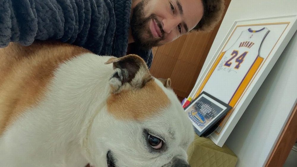 Klay Thompson mourns beloved bulldog Rocco on social media 1 | ASL