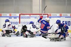 U.S. Tops Czechia, 4-3, In Sled Worlds Preliminary Finale 38 | ASL