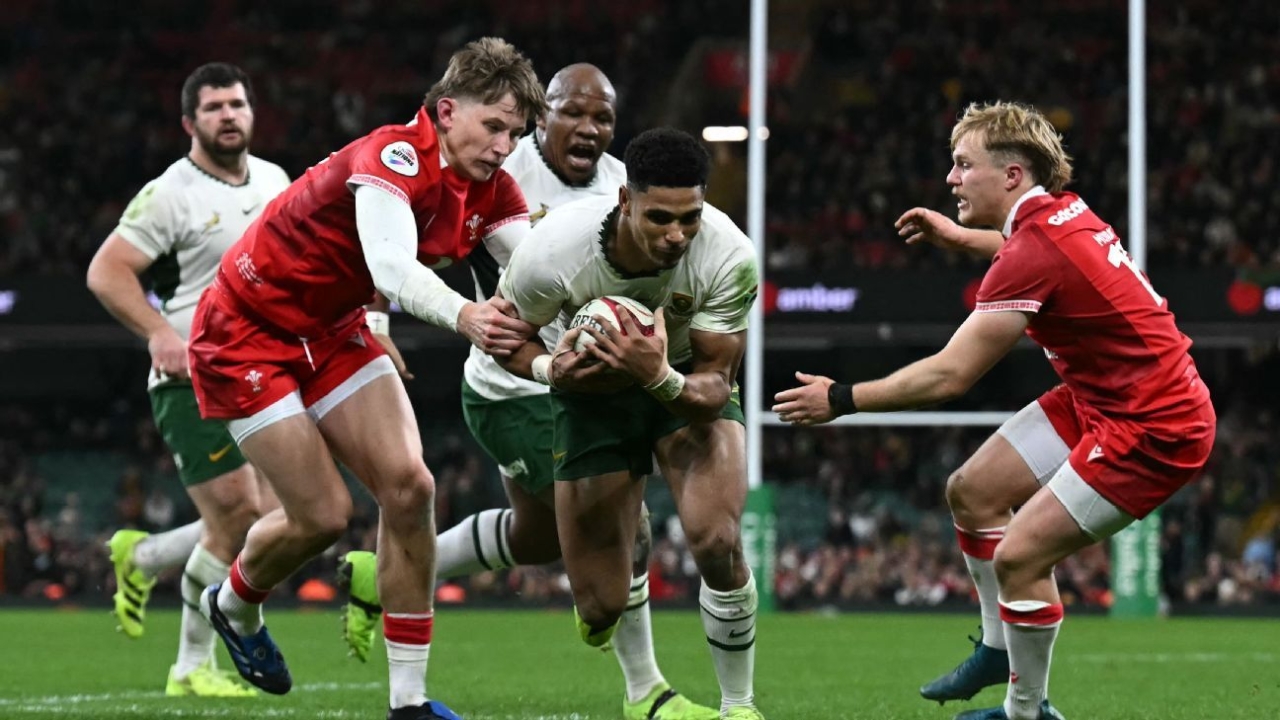 Wales 0-73 South Africa: Springboks perform demolition job in Cardiff 1