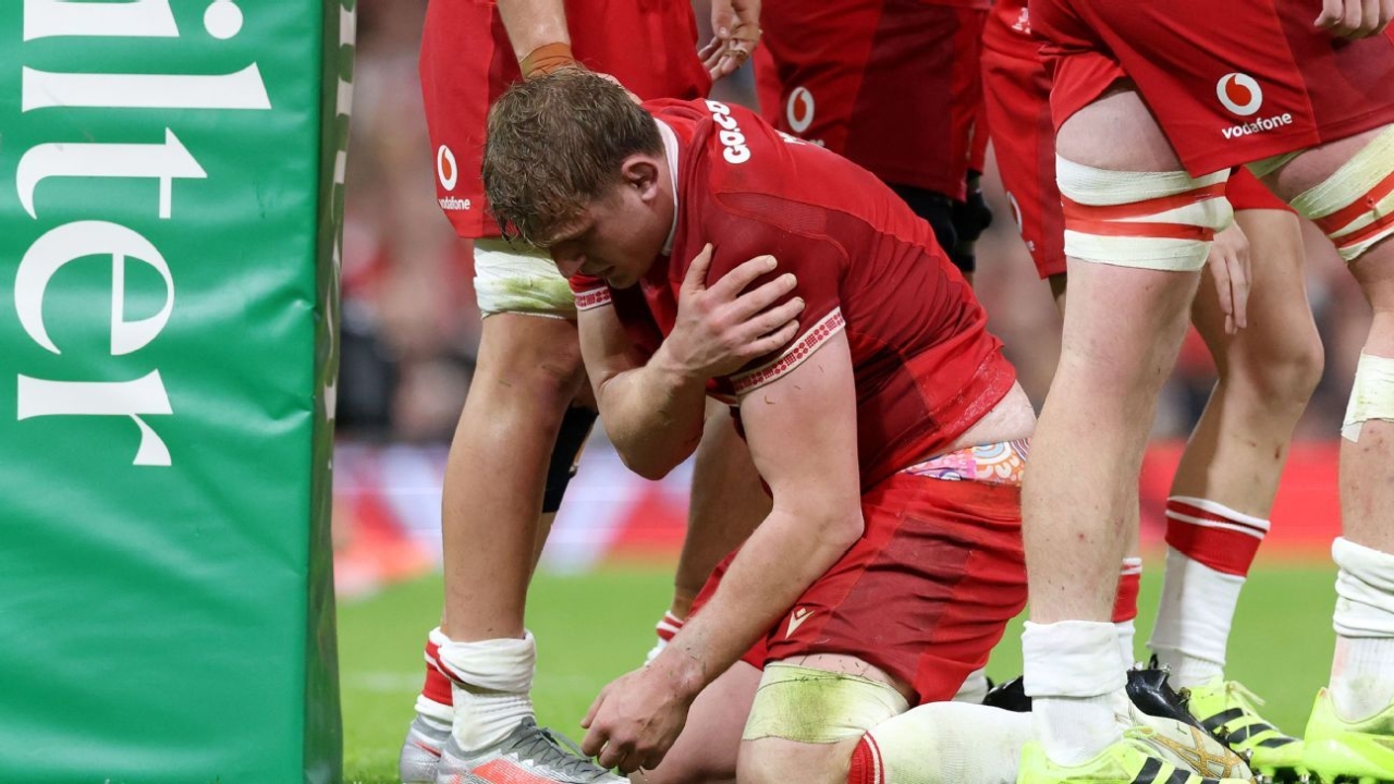 Wales' Jac Morgan ruled out of Autumn internationals with dislocated shoulder 1