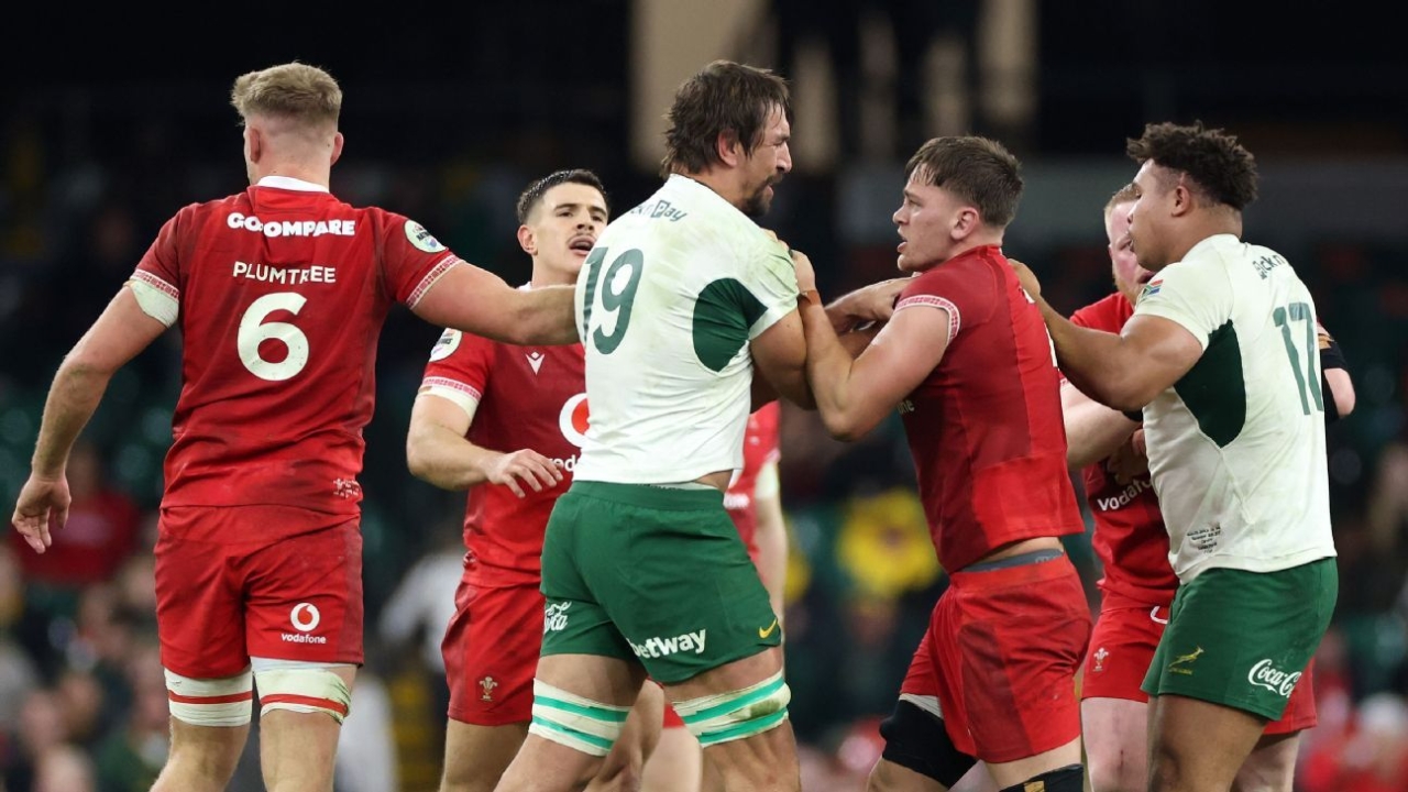 Eben Etzebeth red card mars South Africa rout over Wales 1