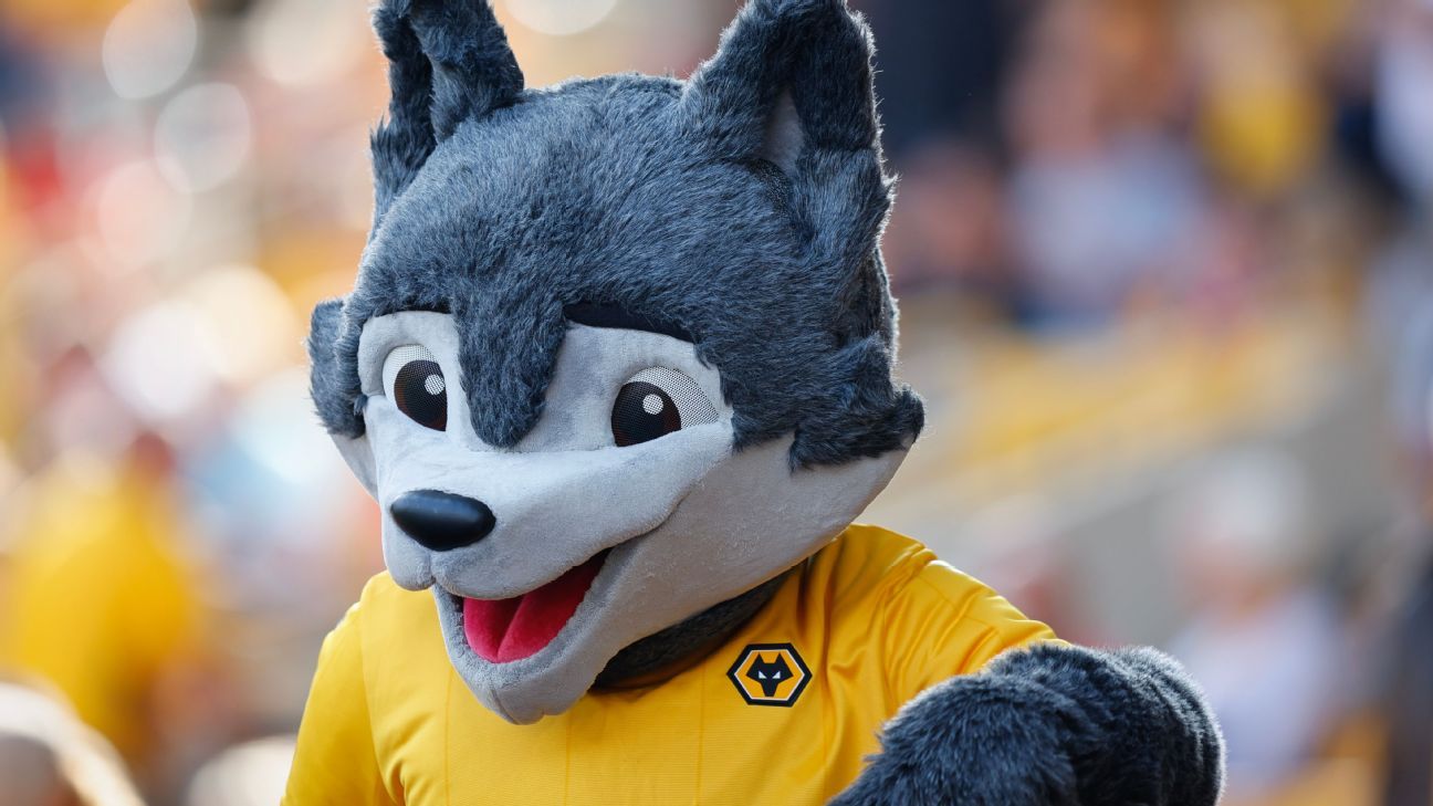 Wolves Mascot Returns Chicken Nuggets to Child 1