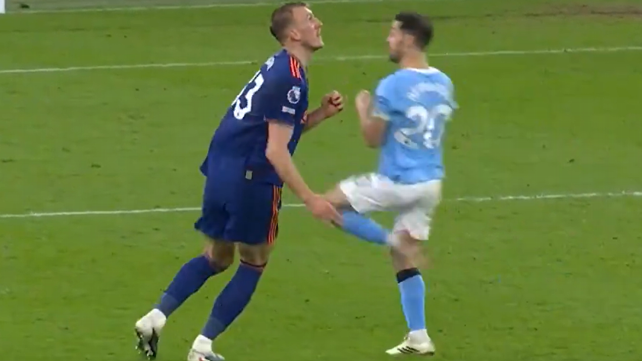 VAR assessment: Was a Newcastle player offside due to a push from Man City? Did Bernardo escape a second yellow card? 5