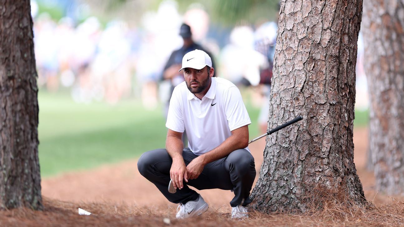 Scottie Scheffler rebounds with bogey-free 5-under at Players Scottie Scheffler bounces back with a 5-under performance free of bogeys at the Players Championship. 1