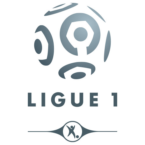 Monitoring Europe's premier football leagues: Championship battles, UEFA Champions League, and relegation scenarios. 14