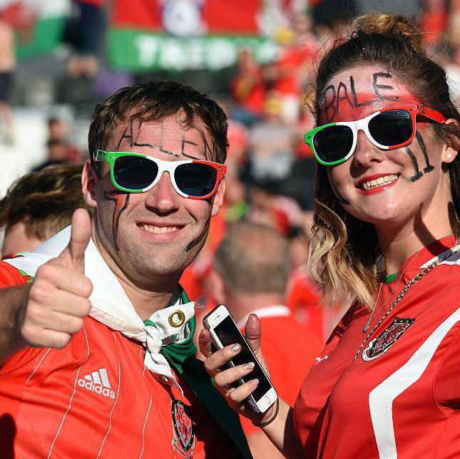Euro 2016: The summer that transformed Welsh football 5