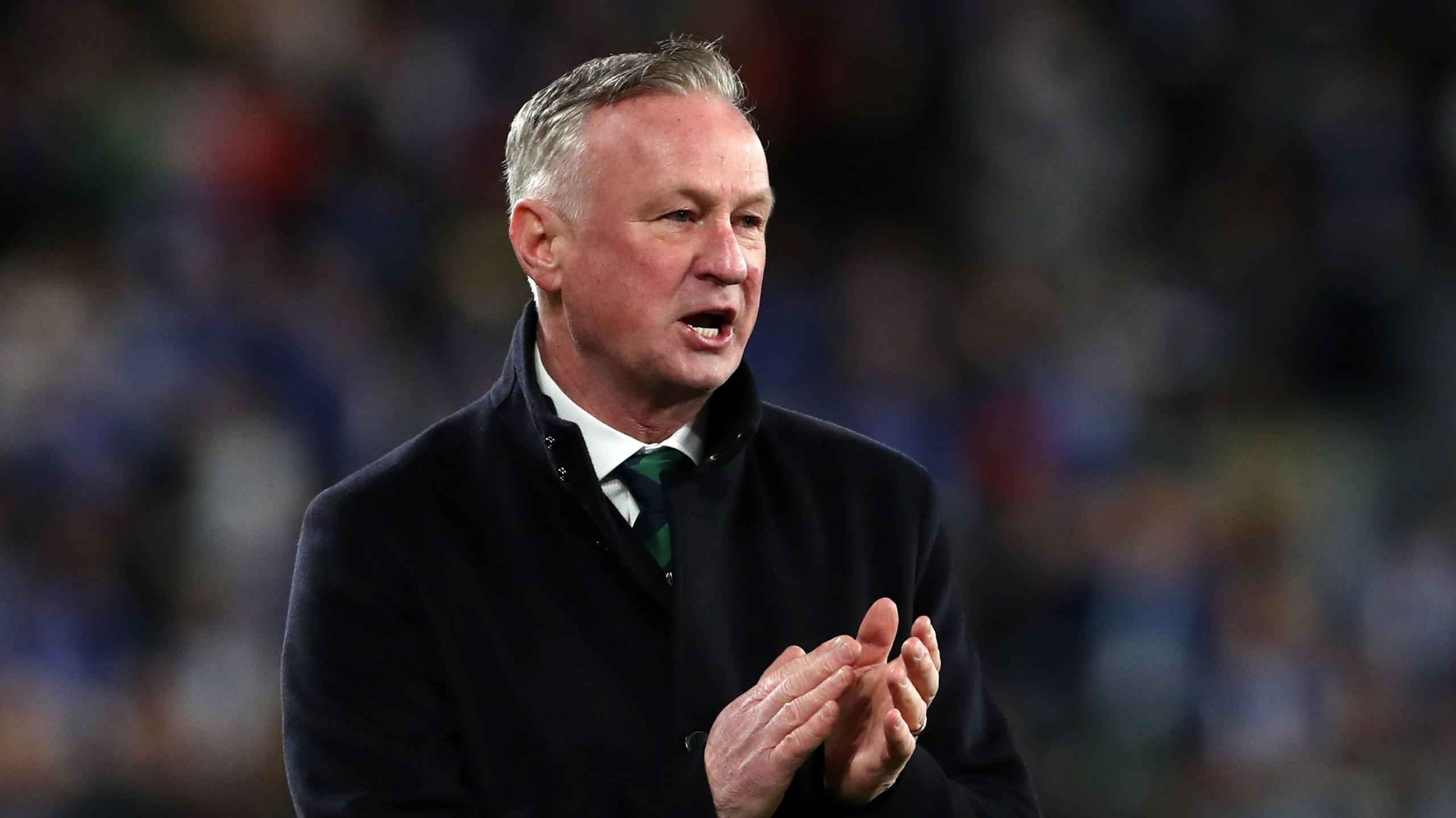 Northern Ireland manager Michael O'Neill insists squad selection is based purely on merit 2