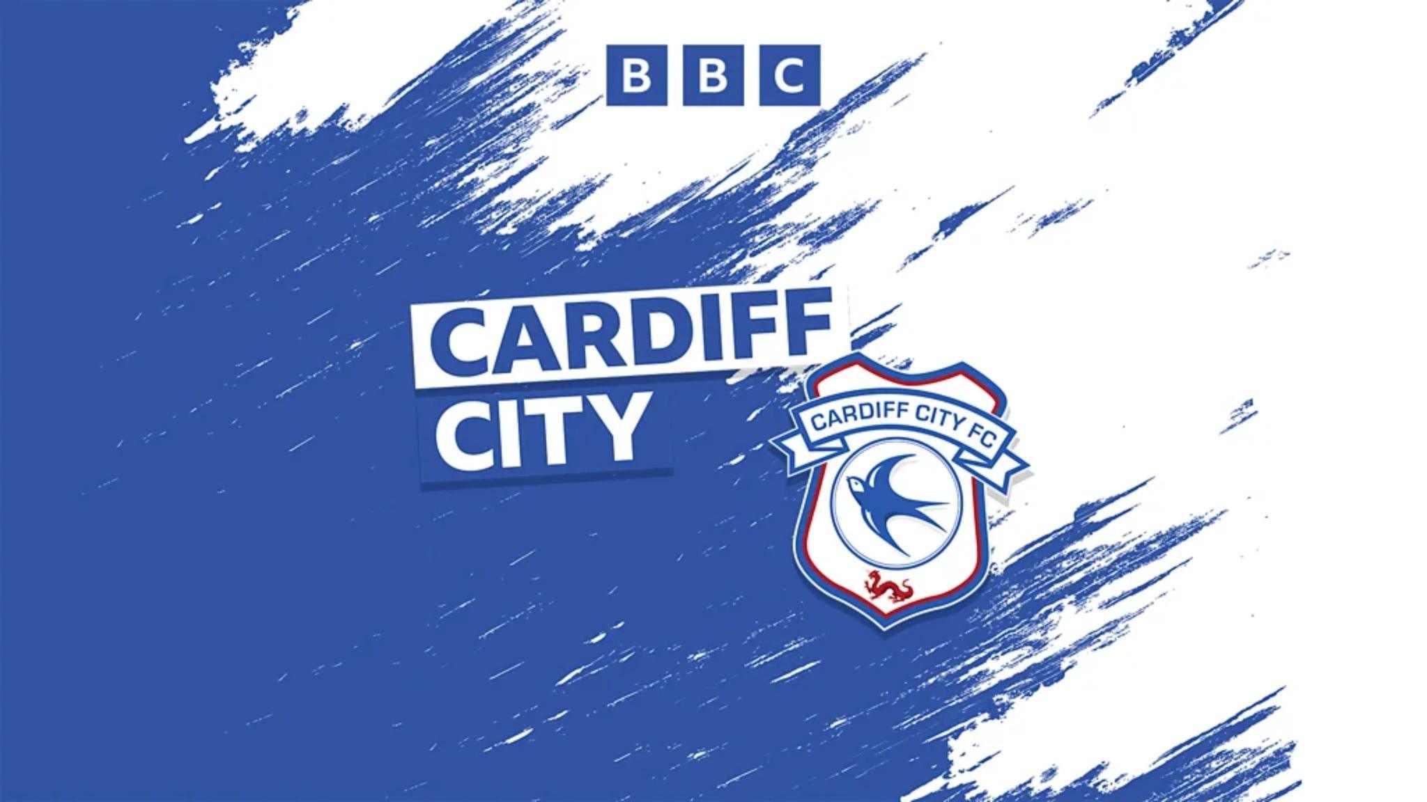 Vincent Tan marks 1,000 days without attending a Cardiff City match 10